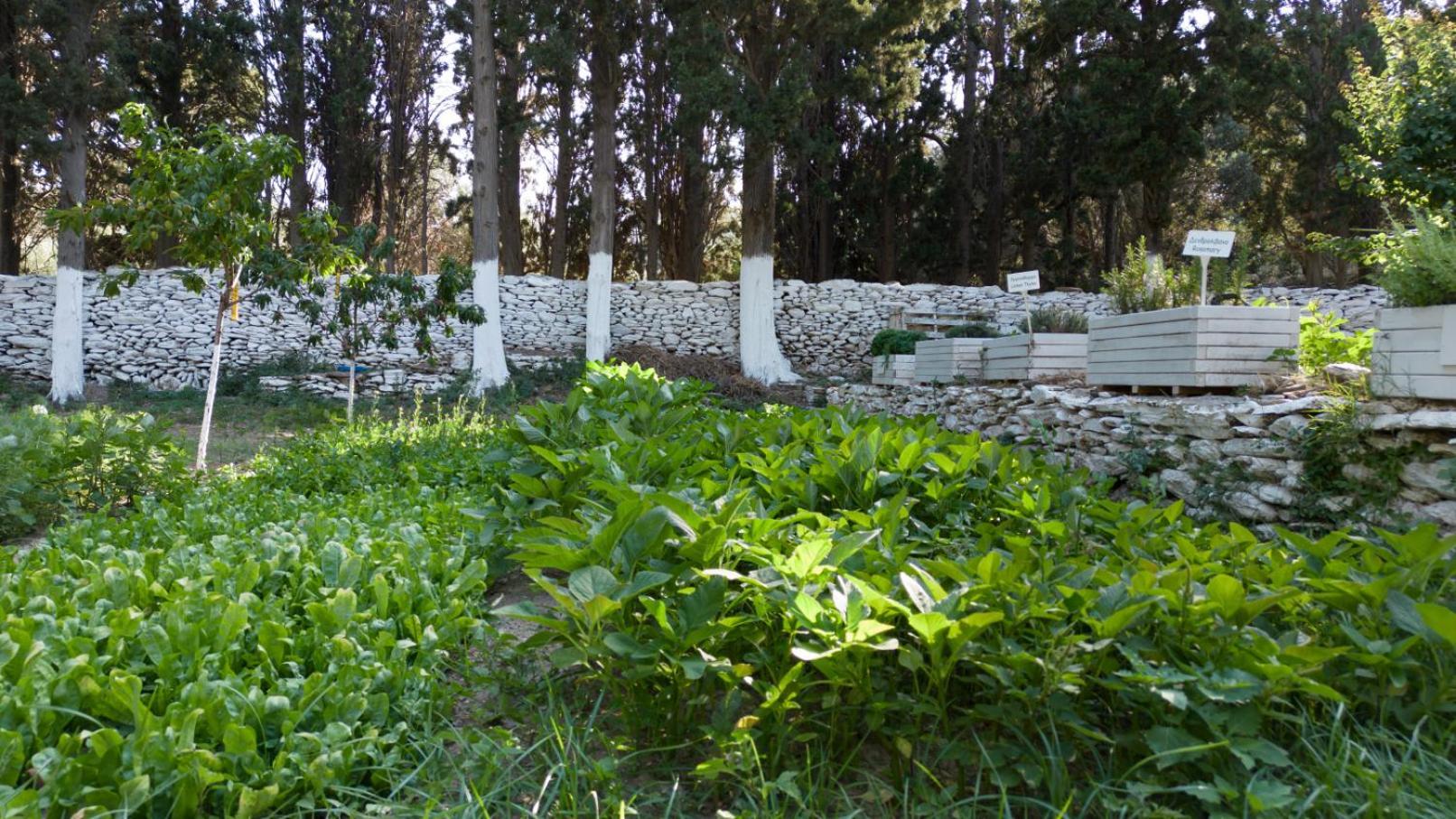 Ándros Micra Anglia Boutique Hotel & Spa מראה חיצוני תמונה